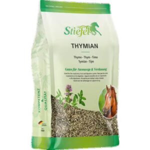 Thymian