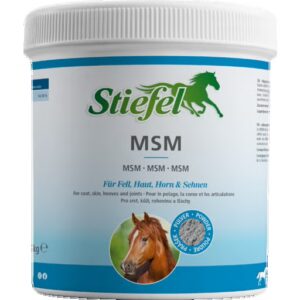 MSM