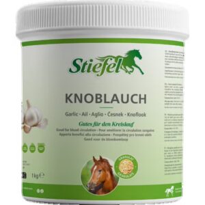 Knoblauch