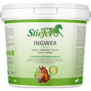 Ingwer