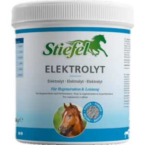 Elektrolyt